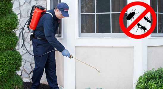 Kuşadası Kene İlaçlama böcek ilaçlama ve haşere kontrolü — ilaclama-tr.com